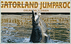 Gatorland Orlando Attractions